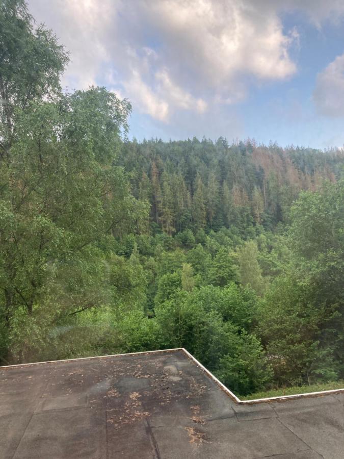 Waldblick Apartment Simmerath Luaran gambar